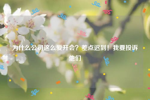 为什么公司这么爱开会？差点迟到！我要投诉他们