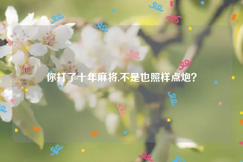 你打了十年麻将,不是也照样点炮？