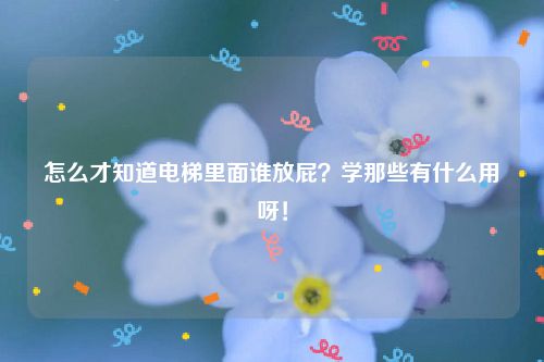 怎么才知道电梯里面谁放屁？学那些有什么用呀！