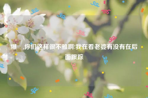 爆囧,你们这样很不雅啊!我在看老婆有没有在后面跟踪