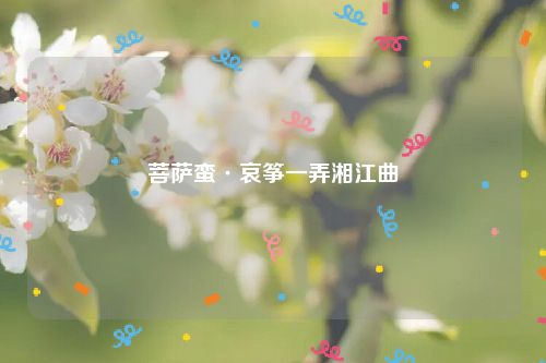 菩萨蛮·哀筝一弄湘江曲