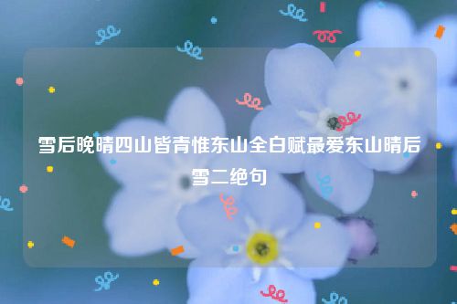 雪后晚晴四山皆青惟东山全白赋最爱东山晴后雪二绝句