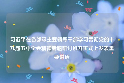 习近平在省部级主要领导干部学习贯彻党的十九届五中全会精神专题研讨班开班式上发表重要讲话