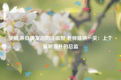 笑喷,来自理发店的冷幽默 老师腼腆一笑：上个星期刚升的总监