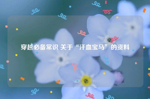 穿越必备常识 关于“汗血宝马”的资料