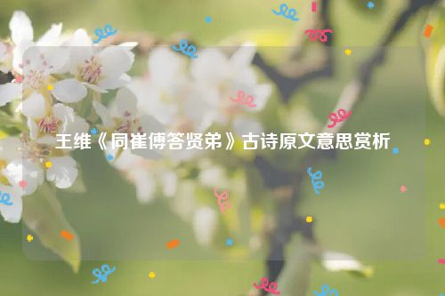 王维《同崔傅答贤弟》古诗原文意思赏析