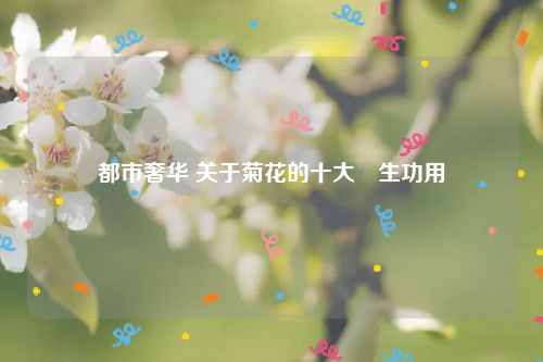 都市奢华 关于菊花的十大養生功用