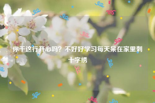 你干这行开心吗？不好好学习每天呆在家里刺十字绣